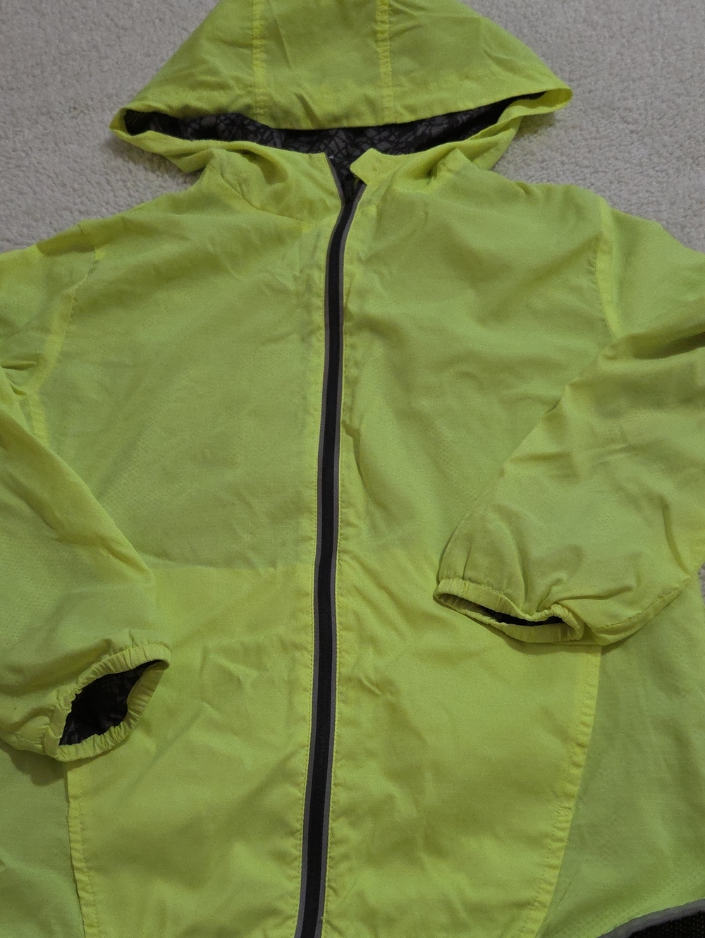 CAT & JACK WINDBREAKER JACKET